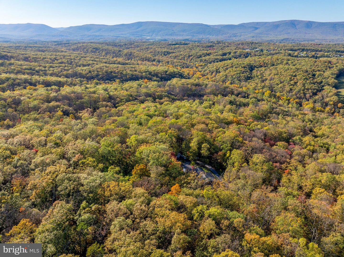 0 TIMBERLINE RIDGE ROAD, STAR TANNERY, Virginia 22654, ,Land,For sale,0 TIMBERLINE RIDGE ROAD,VASH2009918 MLS # VASH2009918