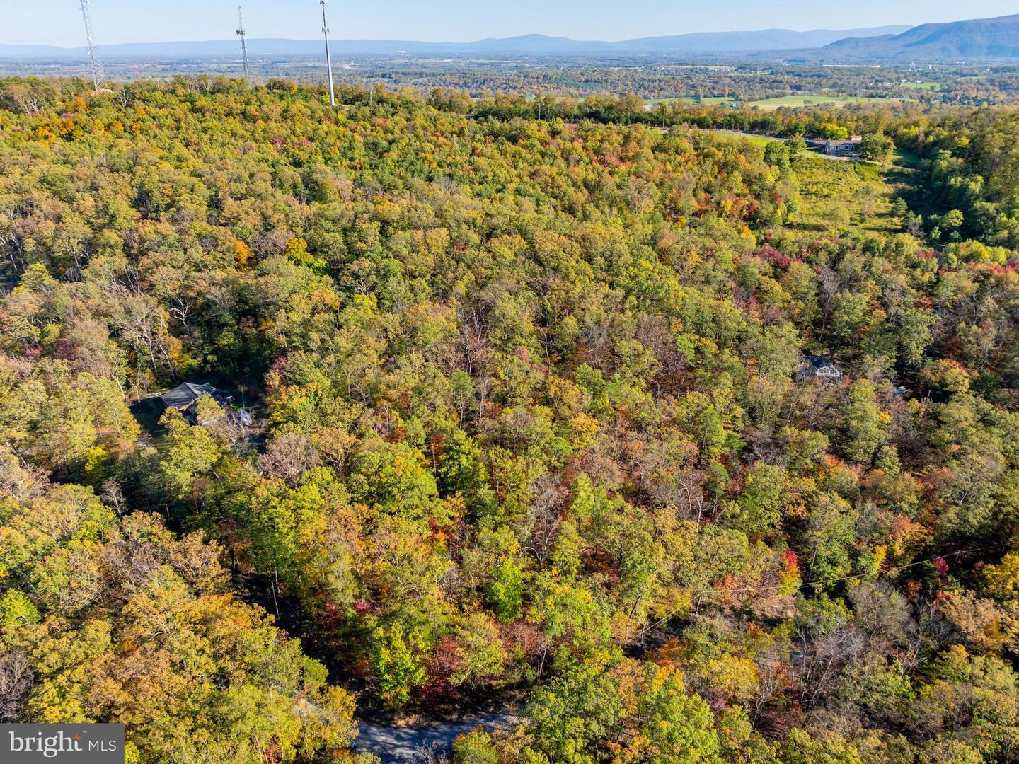 0 TIMBERLINE RIDGE ROAD, STAR TANNERY, Virginia 22654, ,Land,For sale,0 TIMBERLINE RIDGE ROAD,VASH2009918 MLS # VASH2009918