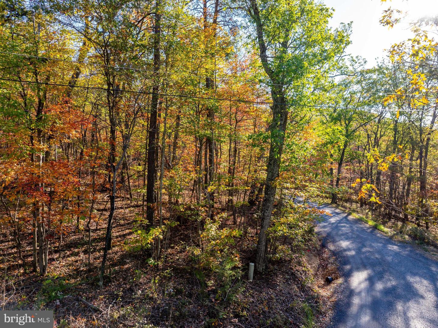 0 TIMBERLINE RIDGE ROAD, STAR TANNERY, Virginia 22654, ,Land,For sale,0 TIMBERLINE RIDGE ROAD,VASH2009918 MLS # VASH2009918