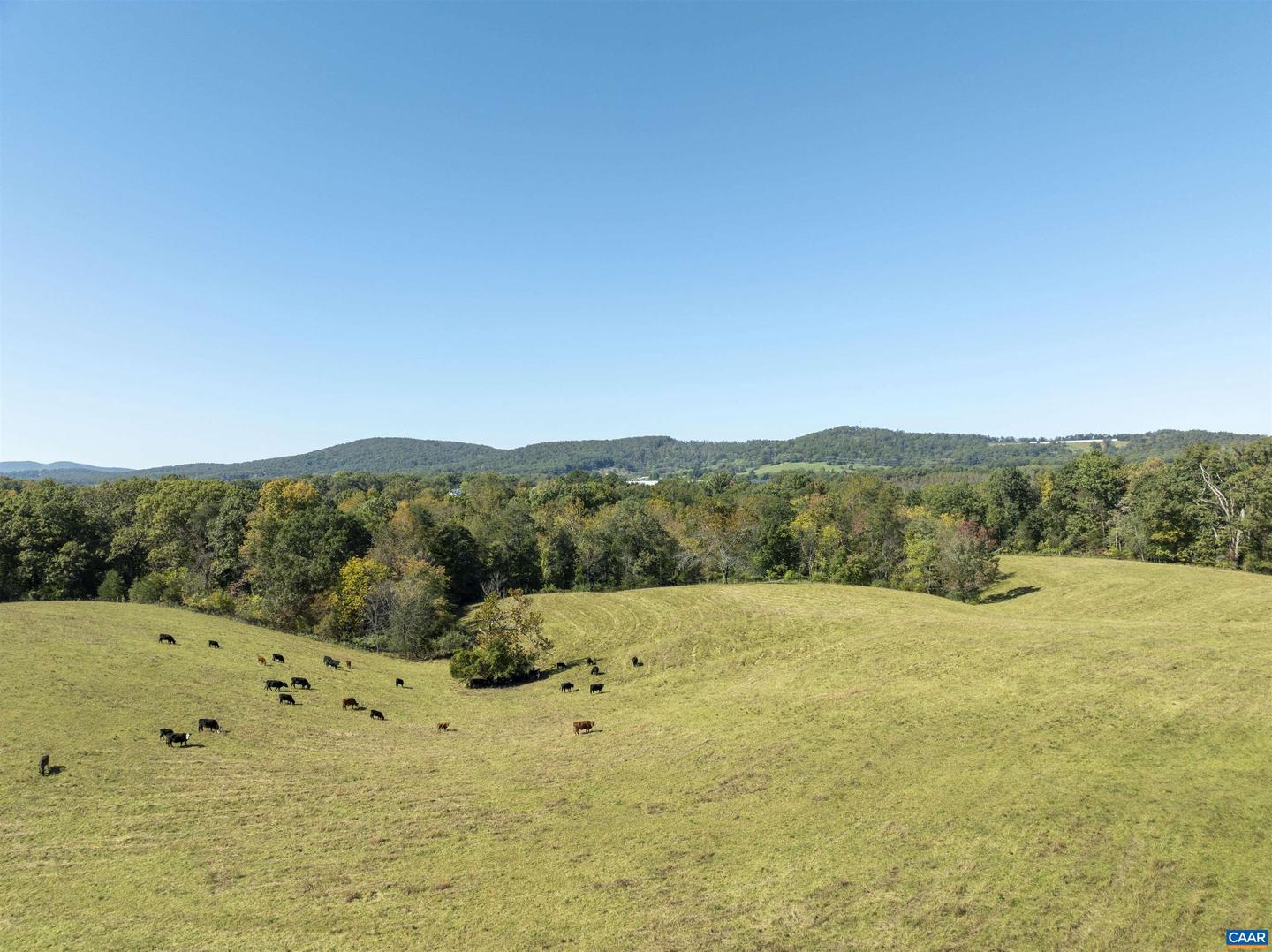 14560 MADISON RUN RD, GORDONSVILLE, Virginia 22942, ,Farm,For sale,14560 MADISON RUN RD,658045 MLS # 658045