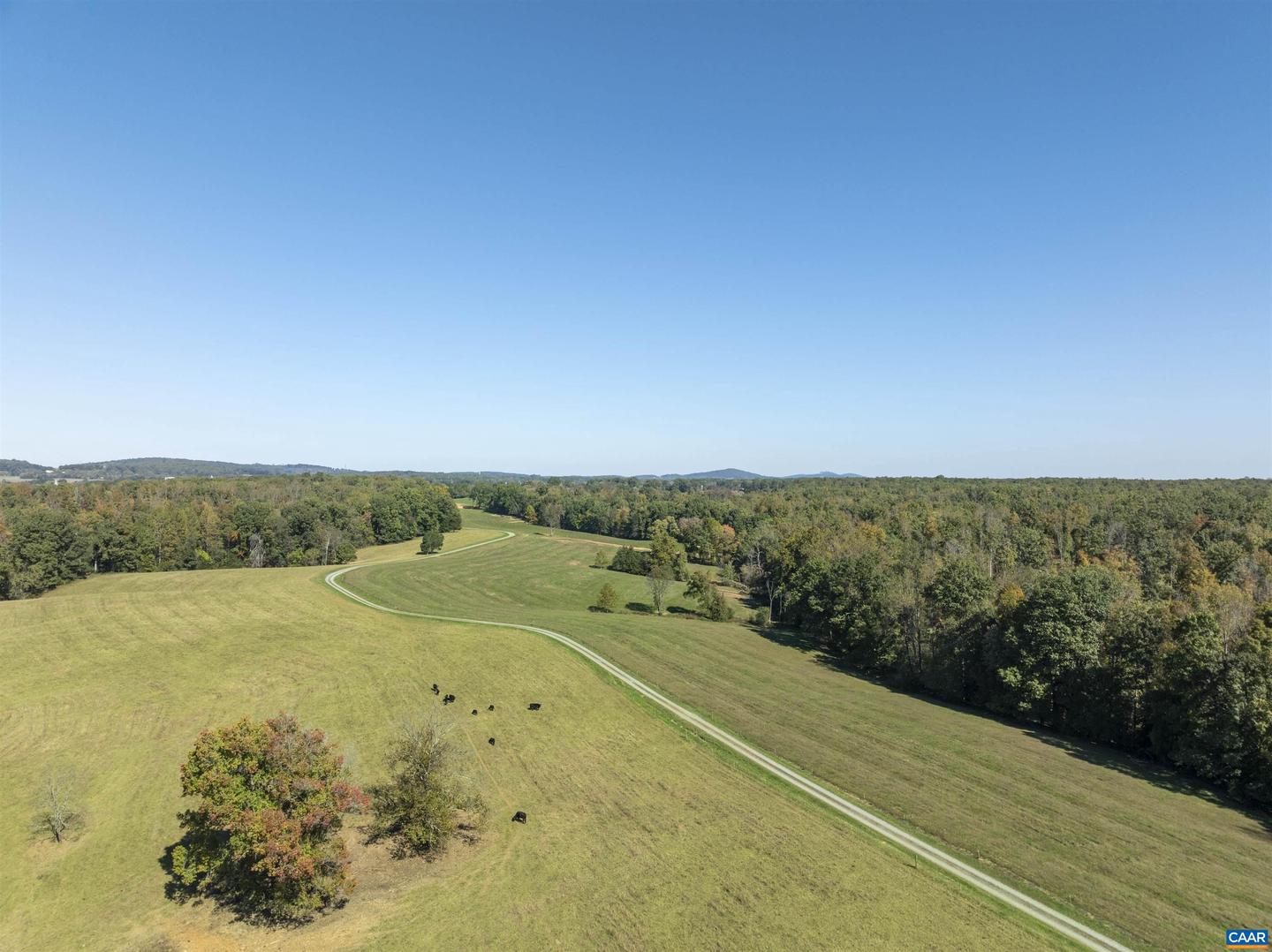 14560 MADISON RUN RD, GORDONSVILLE, Virginia 22942, ,Farm,For sale,14560 MADISON RUN RD,658045 MLS # 658045