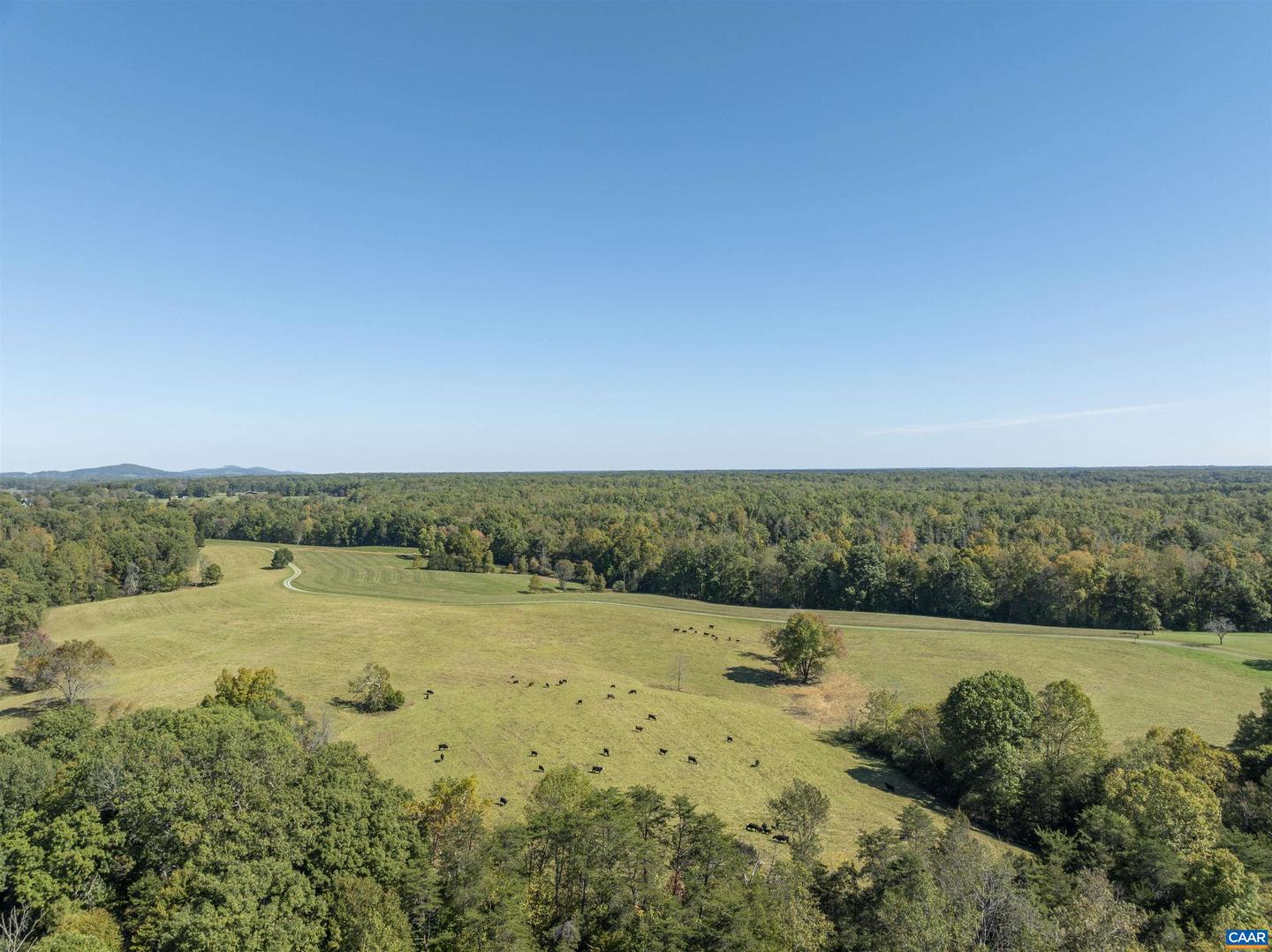 14560 MADISON RUN RD, GORDONSVILLE, Virginia 22942, ,Farm,For sale,14560 MADISON RUN RD,658045 MLS # 658045