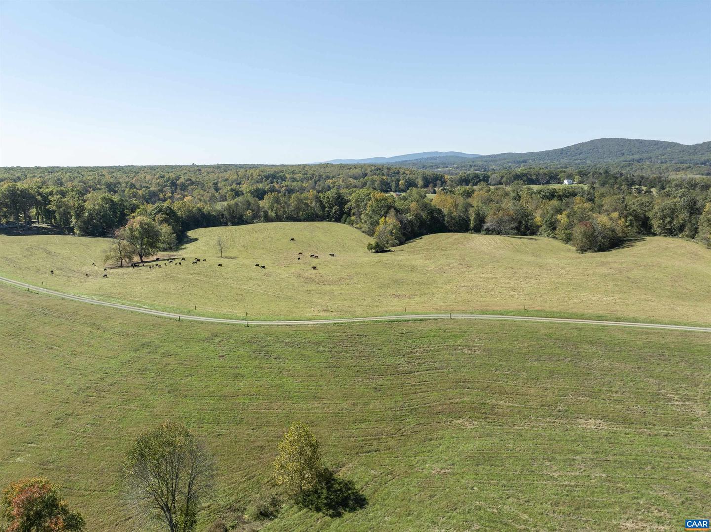 14560 MADISON RUN RD, GORDONSVILLE, Virginia 22942, ,Farm,For sale,14560 MADISON RUN RD,658045 MLS # 658045