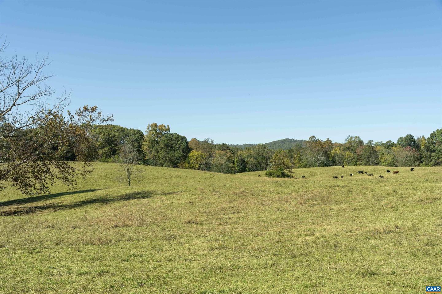 14560 MADISON RUN RD, GORDONSVILLE, Virginia 22942, ,Farm,For sale,14560 MADISON RUN RD,658045 MLS # 658045