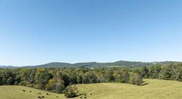 14560 MADISON RUN RD, GORDONSVILLE, Virginia 22942, ,Farm,For sale,14560 MADISON RUN RD,658045 MLS # 658045