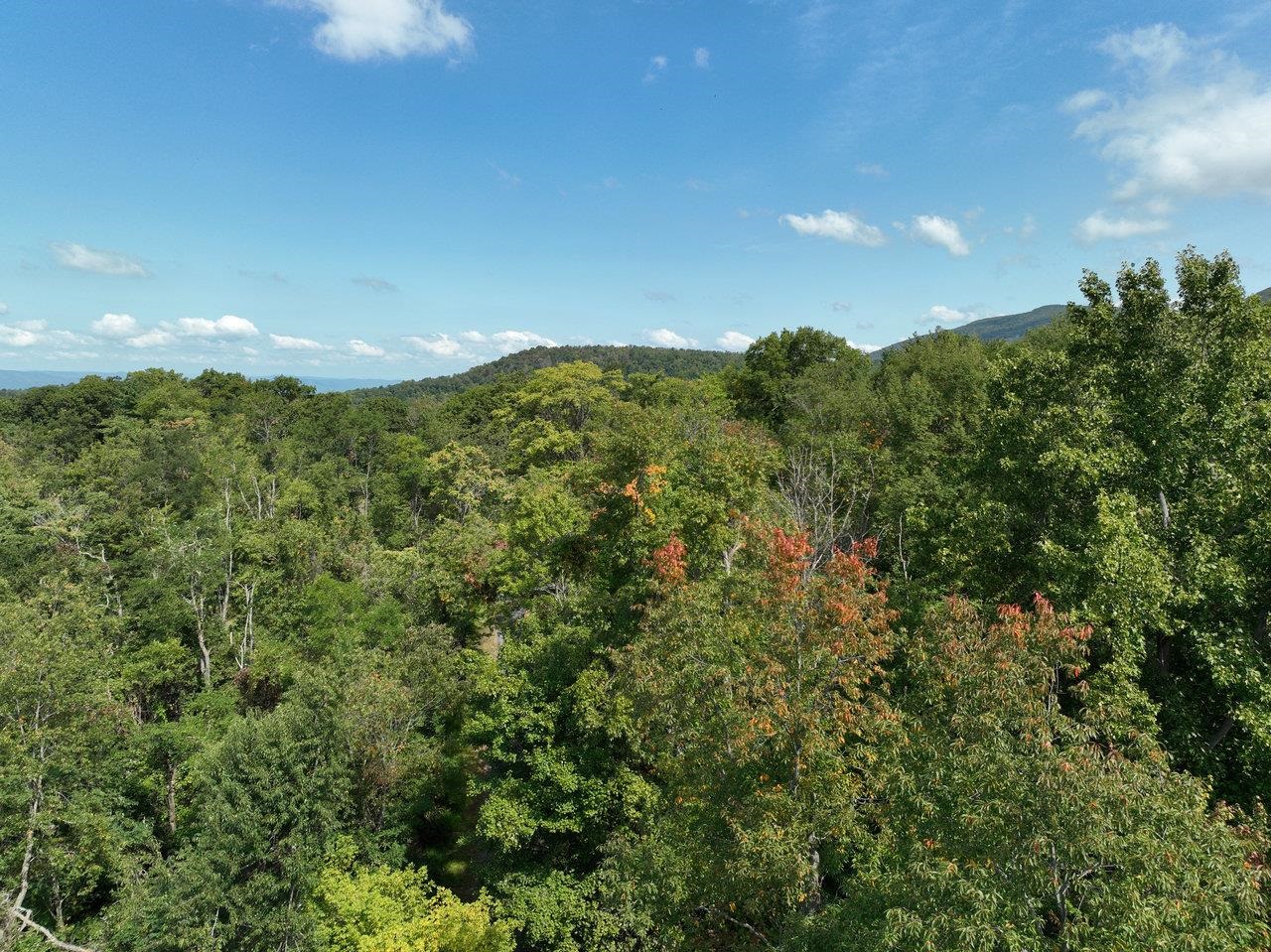 Lot 1 PRICE RIDGE RD, STANLEY, Virginia 22851, ,Land,Lot 1 PRICE RIDGE RD,658073 MLS # 658073