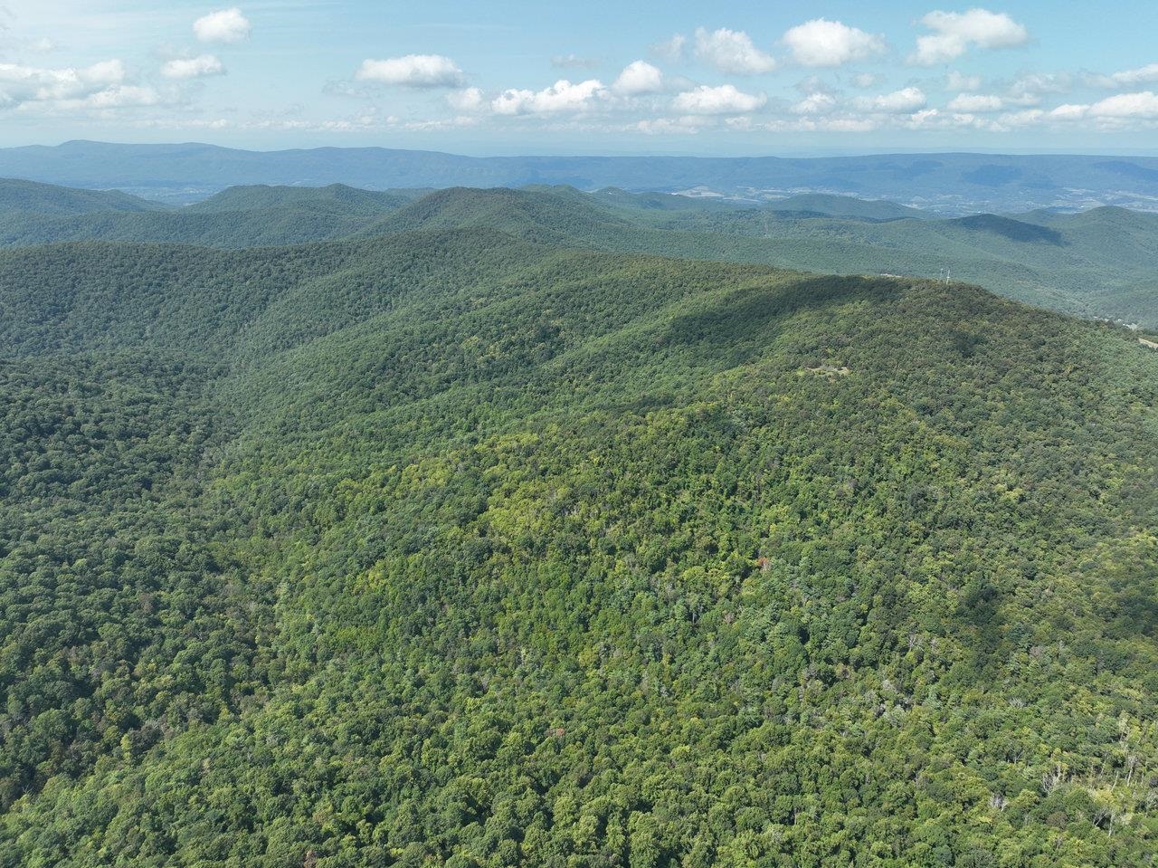 Lot 3 PRICE RIDGE RD, STANLEY, Virginia 22851, ,Land,Lot 3 PRICE RIDGE RD,658075 MLS # 658075