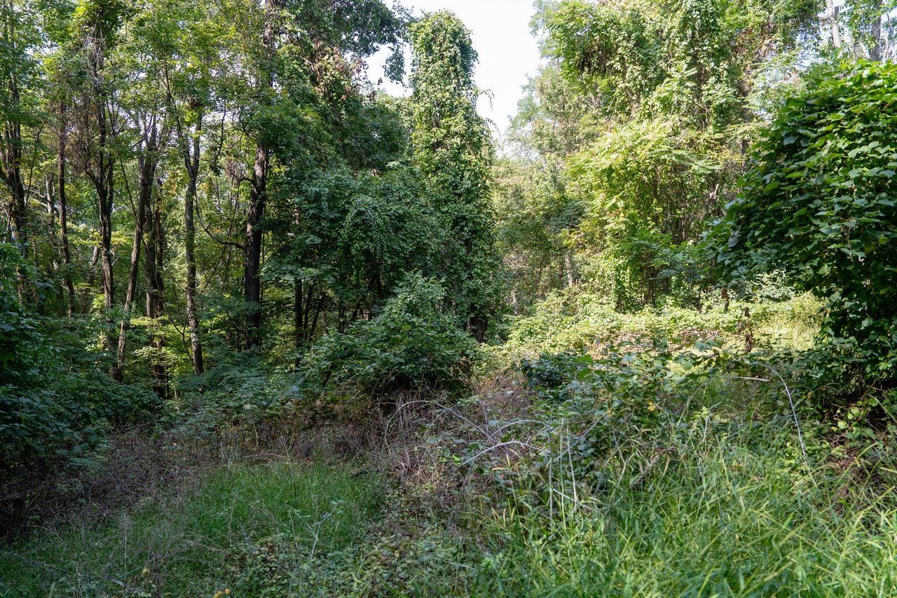 Lot 3 PRICE RIDGE RD, STANLEY, Virginia 22851, ,Land,Lot 3 PRICE RIDGE RD,658075 MLS # 658075