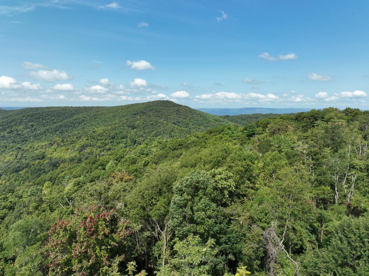 Lot 3 PRICE RIDGE RD, STANLEY, Virginia 22851, ,Land,Lot 3 PRICE RIDGE RD,658075 MLS # 658075