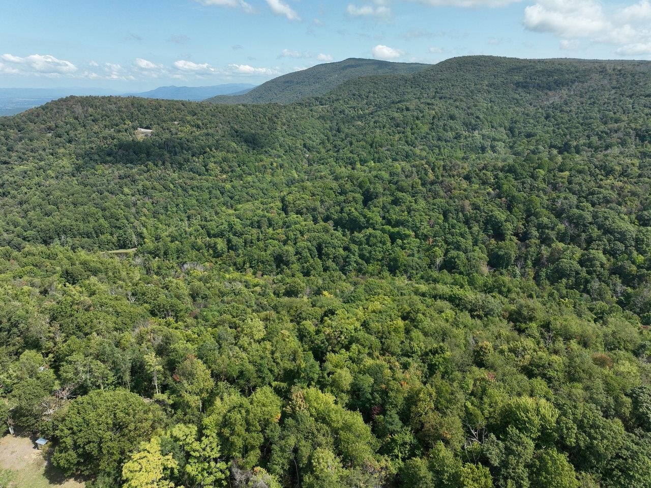 Lot 3 PRICE RIDGE RD, STANLEY, Virginia 22851, ,Land,Lot 3 PRICE RIDGE RD,658075 MLS # 658075