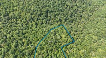 Lot 3 PRICE RIDGE RD, STANLEY, Virginia 22851, ,Land,Lot 3 PRICE RIDGE RD,658075 MLS # 658075