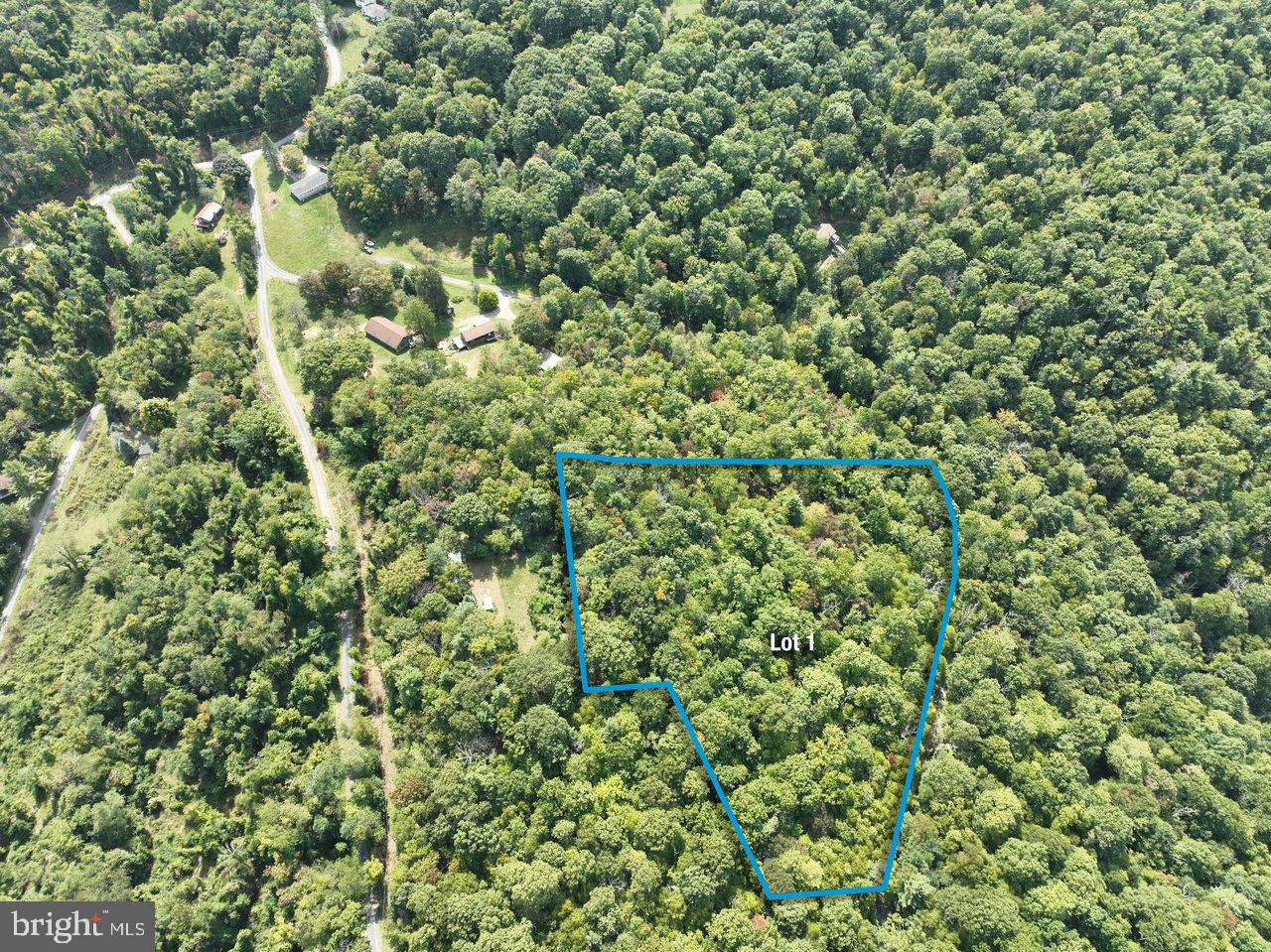 LOT 1 PRICE RIDGE RD, STANLEY, Virginia 22851, ,Land,For sale,LOT 1 PRICE RIDGE RD,VAPA2004004 MLS # VAPA2004004