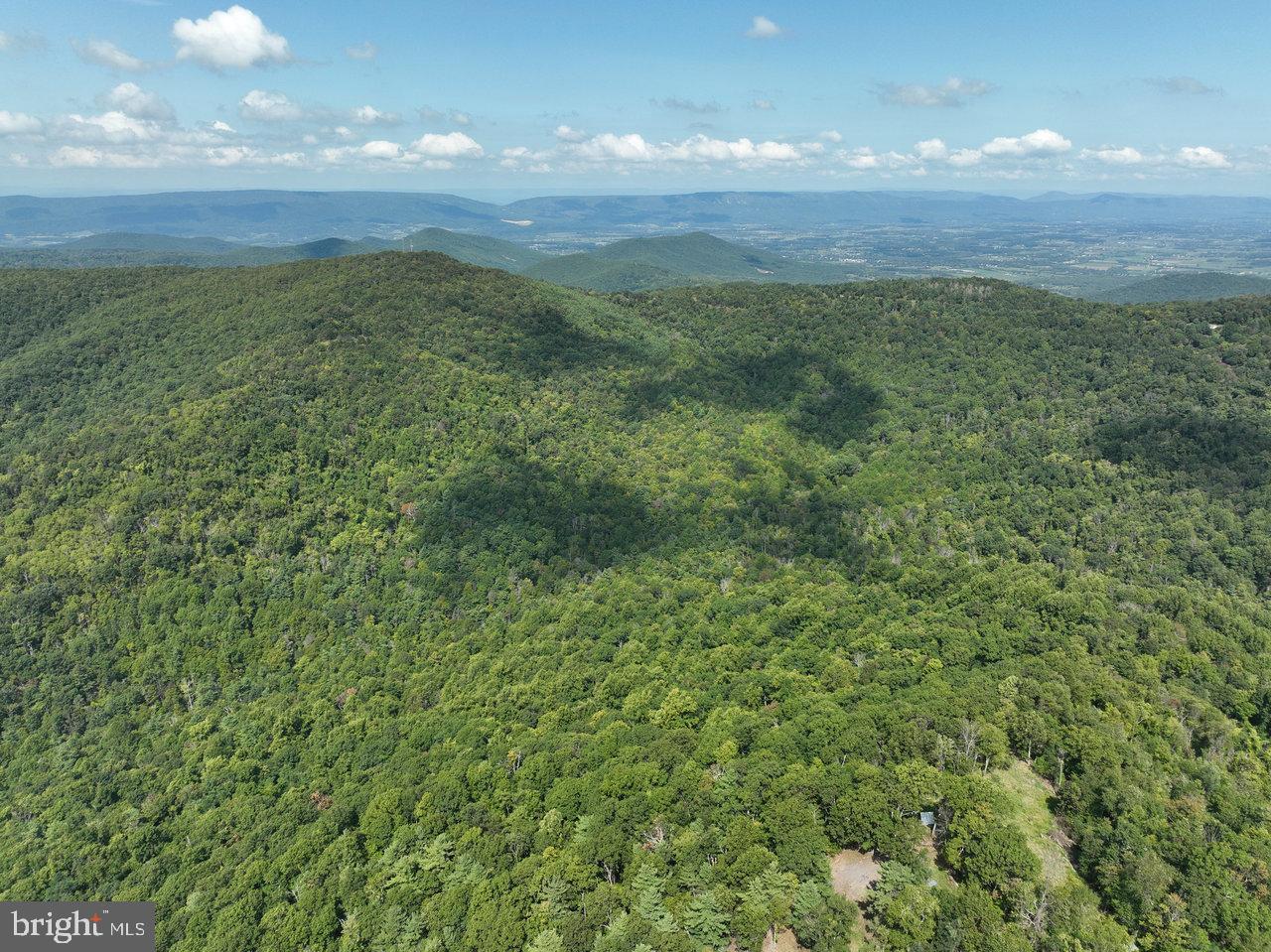 LOT 1 PRICE RIDGE RD, STANLEY, Virginia 22851, ,Land,For sale,LOT 1 PRICE RIDGE RD,VAPA2004004 MLS # VAPA2004004