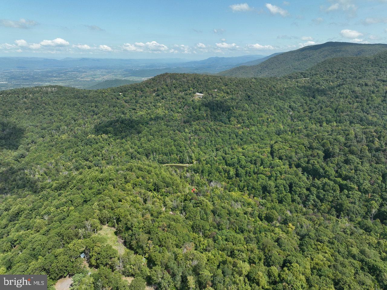 LOT 1 PRICE RIDGE RD, STANLEY, Virginia 22851, ,Land,For sale,LOT 1 PRICE RIDGE RD,VAPA2004004 MLS # VAPA2004004