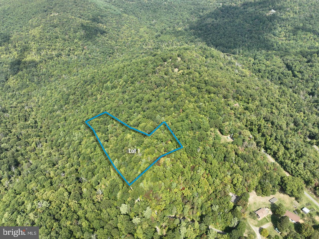 LOT 1 PRICE RIDGE RD, STANLEY, Virginia 22851, ,Land,For sale,LOT 1 PRICE RIDGE RD,VAPA2004004 MLS # VAPA2004004