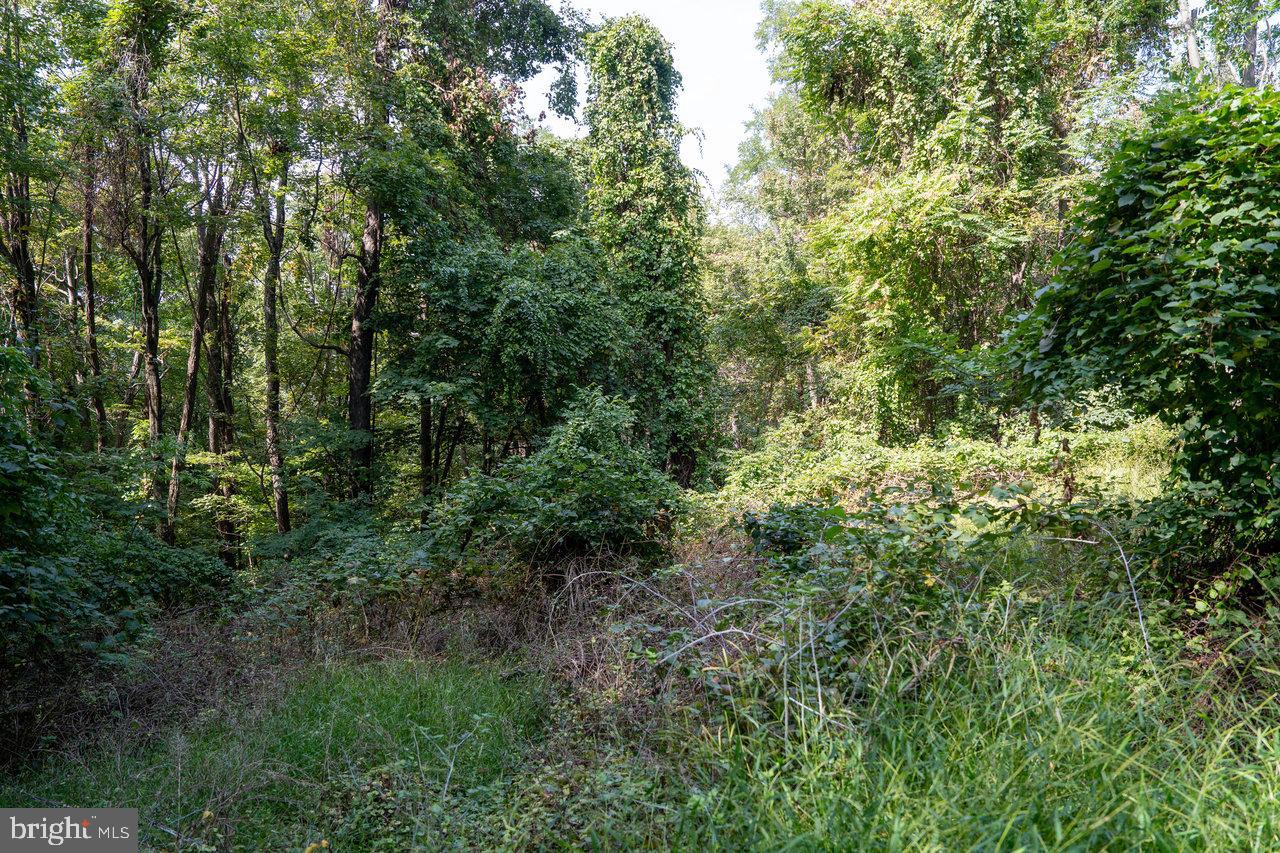 LOT 1 PRICE RIDGE RD, STANLEY, Virginia 22851, ,Land,For sale,LOT 1 PRICE RIDGE RD,VAPA2004004 MLS # VAPA2004004