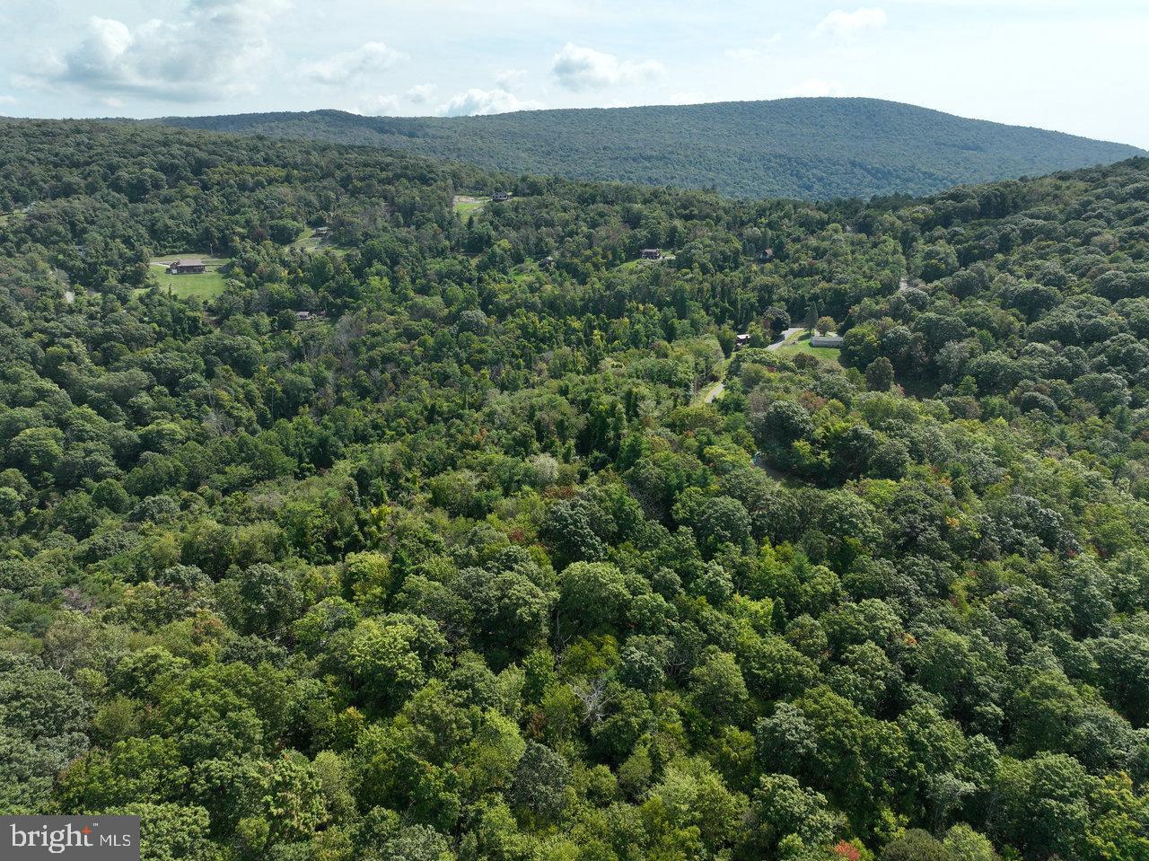 LOT 1 PRICE RIDGE RD, STANLEY, Virginia 22851, ,Land,For sale,LOT 1 PRICE RIDGE RD,VAPA2004004 MLS # VAPA2004004