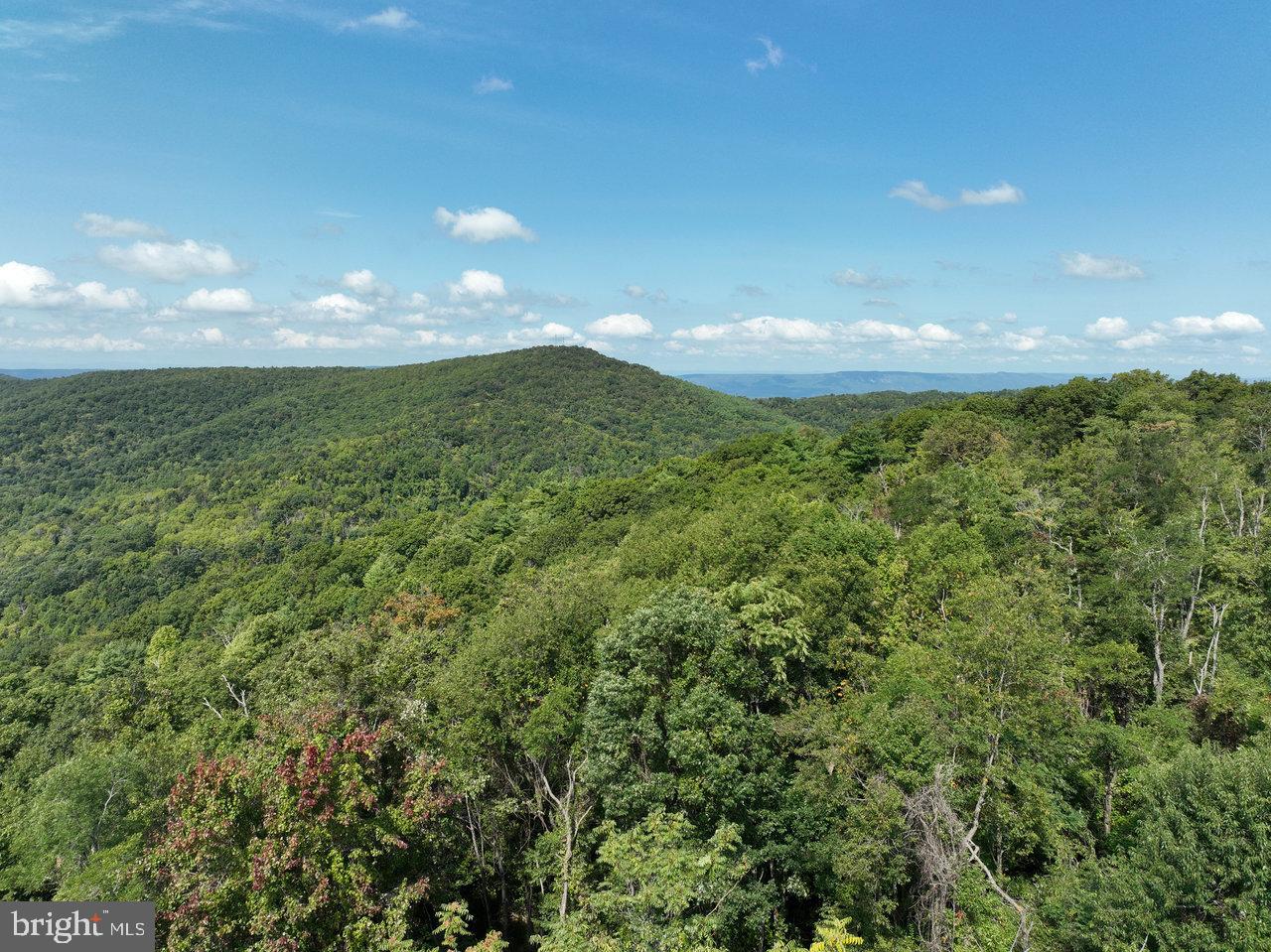 LOT 2 PRICE RIDGE RD, STANLEY, Virginia 22851, ,Land,For sale,LOT 2 PRICE RIDGE RD,VAPA2004006 MLS # VAPA2004006