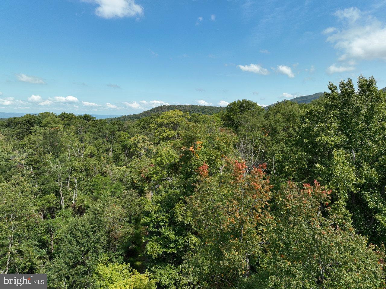 LOT 2 PRICE RIDGE RD, STANLEY, Virginia 22851, ,Land,For sale,LOT 2 PRICE RIDGE RD,VAPA2004006 MLS # VAPA2004006