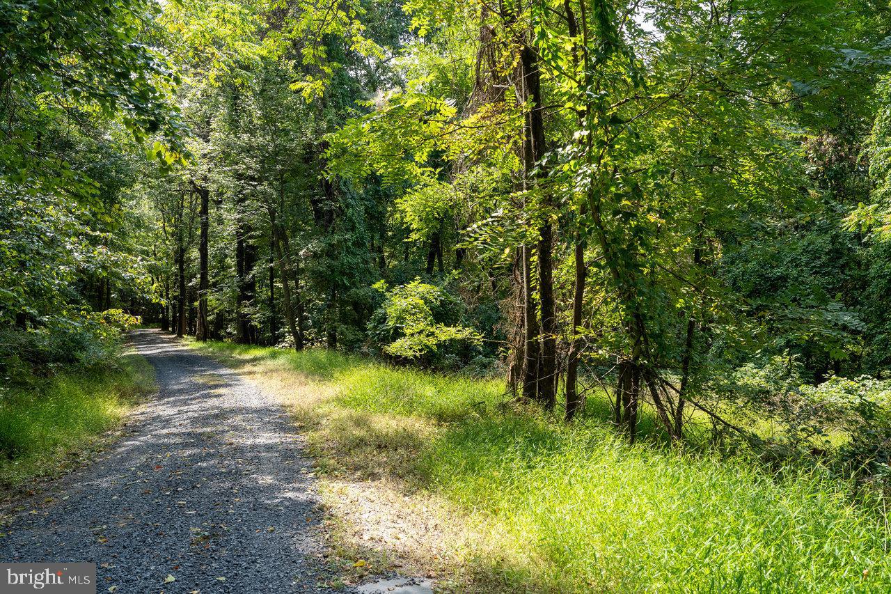 LOT 3 PRICE RIDGE RD, STANLEY, Virginia 22851, ,Land,For sale,LOT 3 PRICE RIDGE RD,VAPA2004008 MLS # VAPA2004008