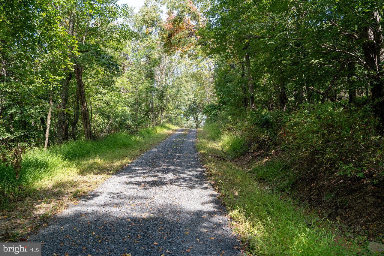 LOT 3 PRICE RIDGE RD, STANLEY, Virginia 22851, ,Land,For sale,LOT 3 PRICE RIDGE RD,VAPA2004008 MLS # VAPA2004008