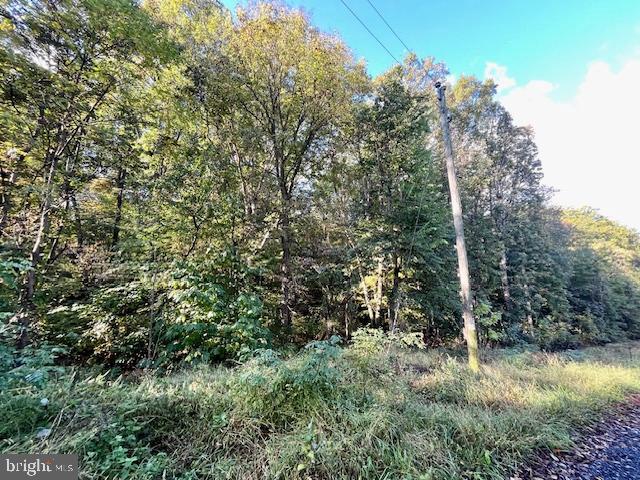 0 SHORT MOUNTAIN RD, EDINBURG, Virginia 22824, ,Land,For sale,0 SHORT MOUNTAIN RD,VASH2009810 MLS # VASH2009810