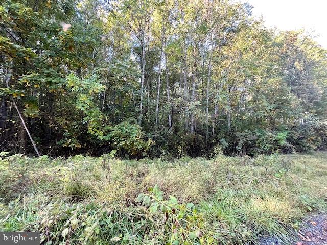 0 SHORT MOUNTAIN RD, EDINBURG, Virginia 22824, ,Land,For sale,0 SHORT MOUNTAIN RD,VASH2009810 MLS # VASH2009810