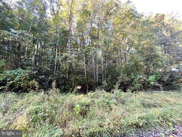 0 SHORT MOUNTAIN RD, EDINBURG, Virginia 22824, ,Land,For sale,0 SHORT MOUNTAIN RD,VASH2009810 MLS # VASH2009810