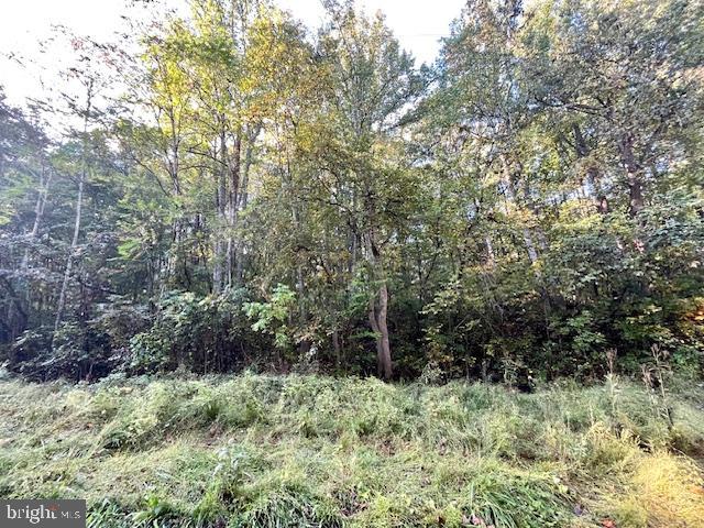 0 SHORT MOUNTAIN RD, EDINBURG, Virginia 22824, ,Land,For sale,0 SHORT MOUNTAIN RD,VASH2009810 MLS # VASH2009810