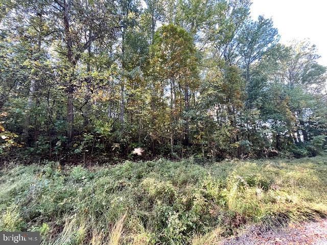 0 SHORT MOUNTAIN RD, EDINBURG, Virginia 22824, ,Land,For sale,0 SHORT MOUNTAIN RD,VASH2009810 MLS # VASH2009810