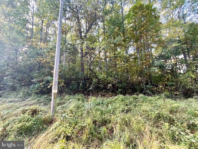 0 SHORT MOUNTAIN RD, EDINBURG, Virginia 22824, ,Land,For sale,0 SHORT MOUNTAIN RD,VASH2009810 MLS # VASH2009810