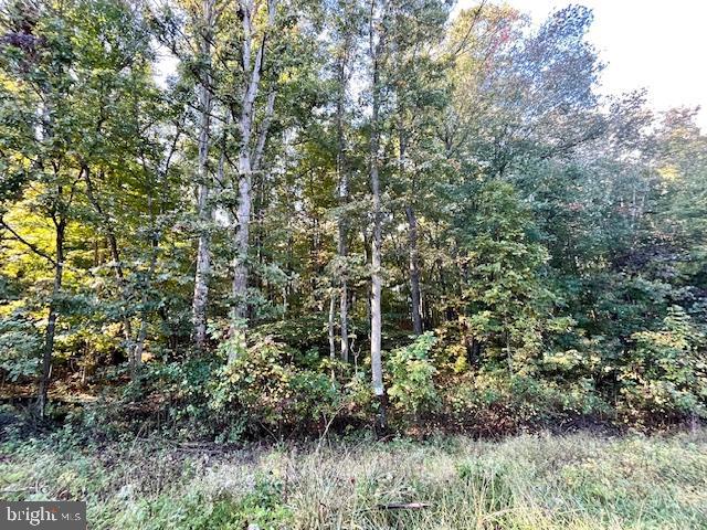 0 SHORT MOUNTAIN RD, EDINBURG, Virginia 22824, ,Land,For sale,0 SHORT MOUNTAIN RD,VASH2009810 MLS # VASH2009810