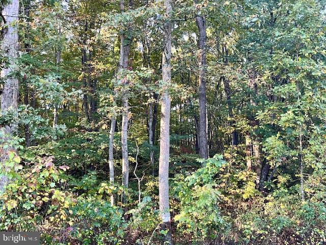 0 SHORT MOUNTAIN RD, EDINBURG, Virginia 22824, ,Land,For sale,0 SHORT MOUNTAIN RD,VASH2009810 MLS # VASH2009810