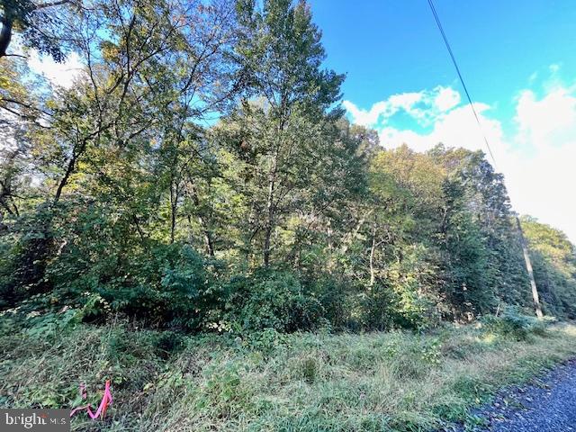 0 SHORT MOUNTAIN RD, EDINBURG, Virginia 22824, ,Land,For sale,0 SHORT MOUNTAIN RD,VASH2009810 MLS # VASH2009810