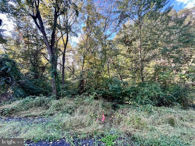 0 SHORT MOUNTAIN RD, EDINBURG, Virginia 22824, ,Land,For sale,0 SHORT MOUNTAIN RD,VASH2009810 MLS # VASH2009810