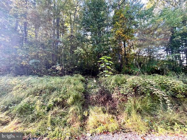 0 SHORT MOUNTAIN RD, EDINBURG, Virginia 22824, ,Land,For sale,0 SHORT MOUNTAIN RD,VASH2009810 MLS # VASH2009810