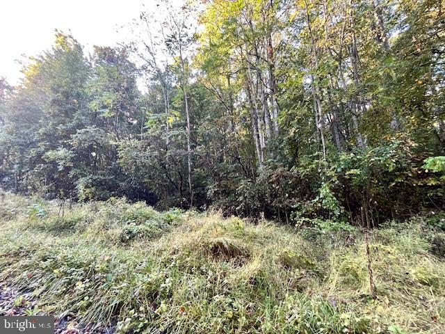 0 SHORT MOUNTAIN RD, EDINBURG, Virginia 22824, ,Land,For sale,0 SHORT MOUNTAIN RD,VASH2009810 MLS # VASH2009810