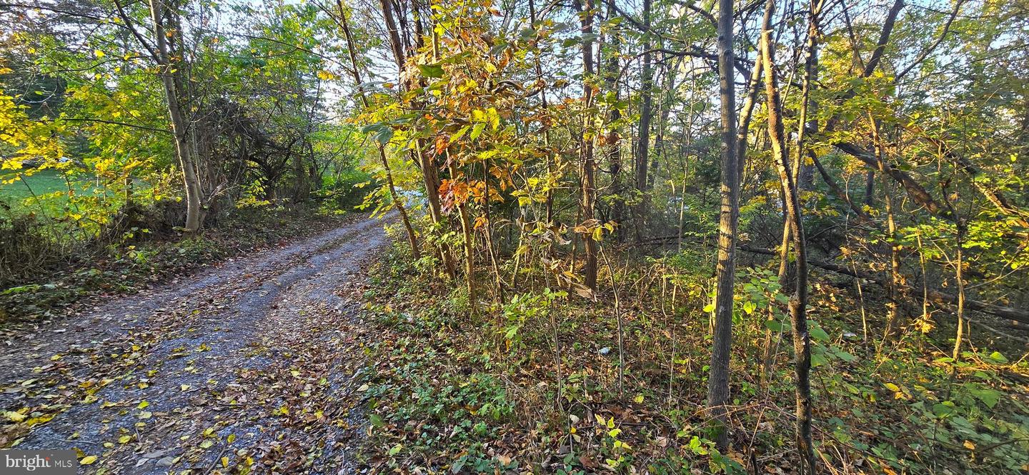 LOT 5 CAVE SPRINGS LN., EDINBURG, Virginia 22824, ,Land,For sale,LOT 5 CAVE SPRINGS LN.,VASH2009922 MLS # VASH2009922