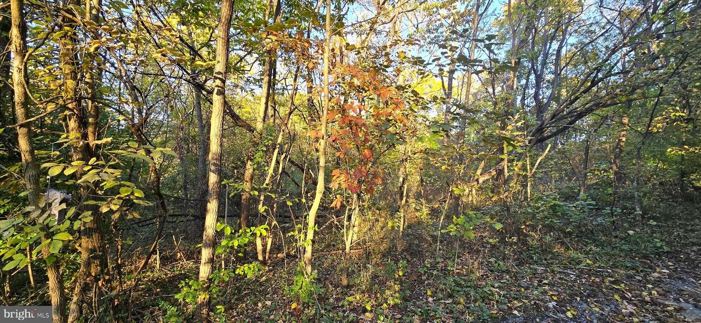 LOT 5 CAVE SPRINGS LN., EDINBURG, Virginia 22824, ,Land,For sale,LOT 5 CAVE SPRINGS LN.,VASH2009922 MLS # VASH2009922