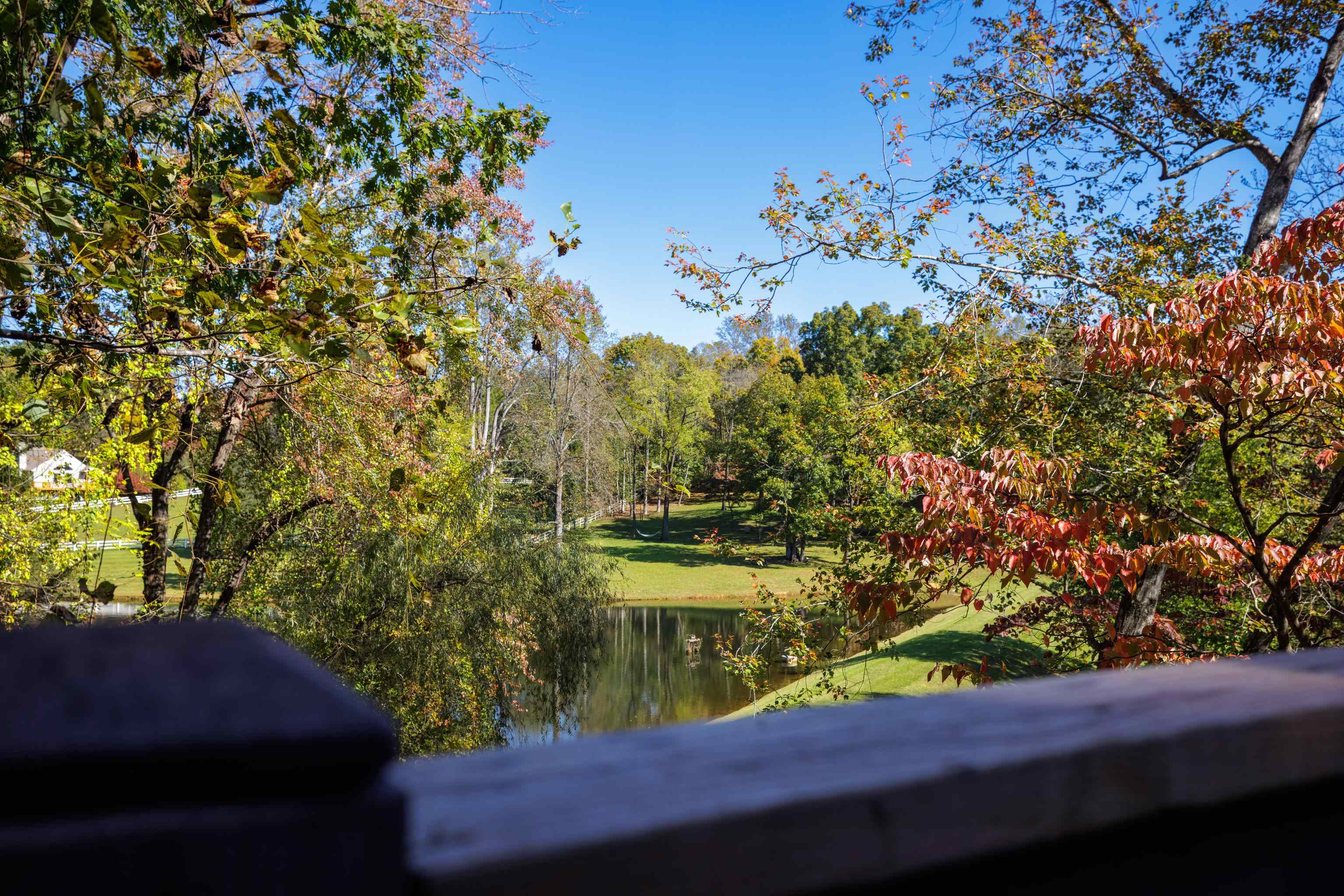 175 SAWMILL CREEK DR, NELLYSFORD, Virginia 22958, 4 Bedrooms Bedrooms, ,2 BathroomsBathrooms,Residential,175 SAWMILL CREEK DR,658079 MLS # 658079