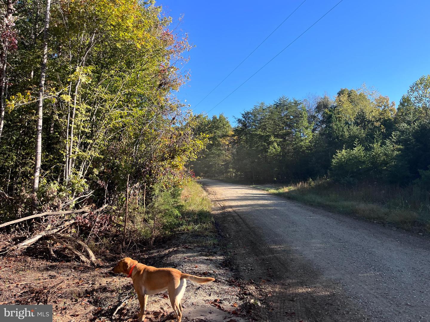 0 EARLY FARM RD, AMHERST, Virginia 24521, ,Land,For sale,0 EARLY FARM RD,VAAH2000058 MLS # VAAH2000058