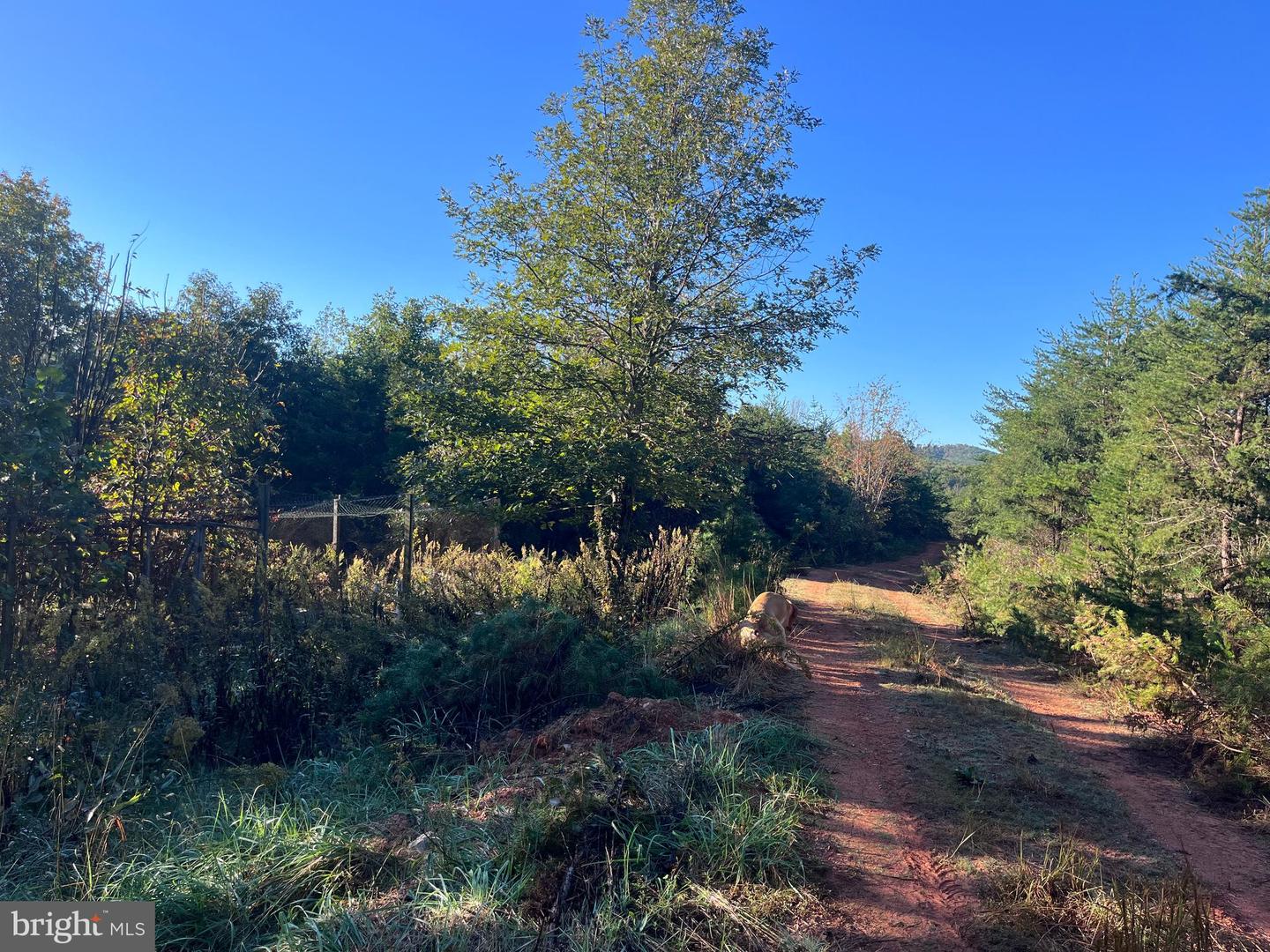 0 DREAMING CREEK HOLLOW, AMHERST, Virginia 24521, ,Land,For sale,0 DREAMING CREEK HOLLOW,VAAH2000060 MLS # VAAH2000060