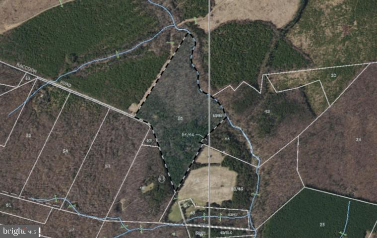 RACCOON FORD RD, CULPEPER, Virginia 22701, ,Land,For sale,RACCOON FORD RD,VACU2008924 MLS # VACU2008924