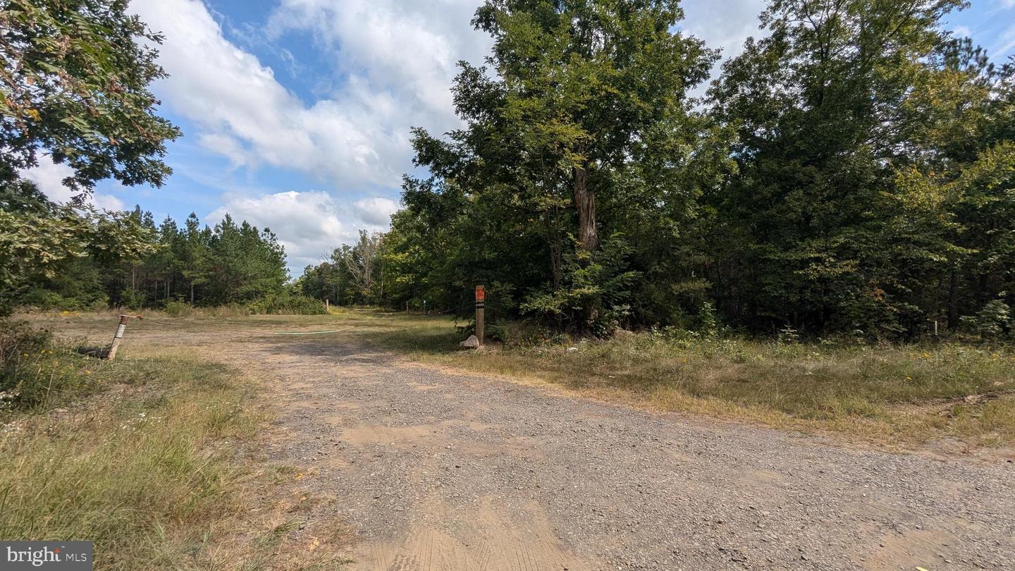 RACCOON FORD RD, CULPEPER, Virginia 22701, ,Land,For sale,RACCOON FORD RD,VACU2008924 MLS # VACU2008924