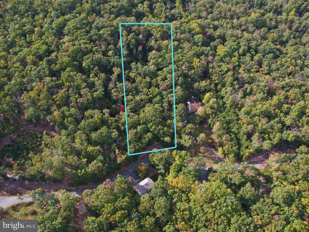 1700 MERCER RD, HAYMARKET, Virginia 20169, ,Land,For sale,1700 MERCER RD,VAPW2081810 MLS # VAPW2081810