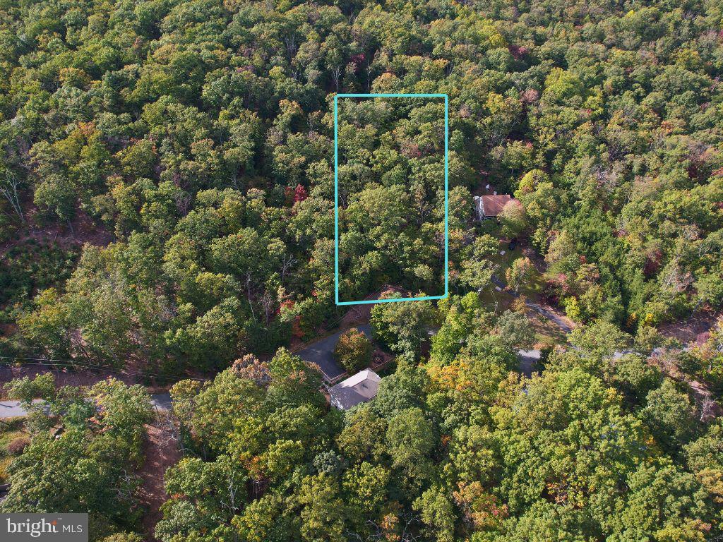 1700 MERCER RD, HAYMARKET, Virginia 20169, ,Land,For sale,1700 MERCER RD,VAPW2081810 MLS # VAPW2081810