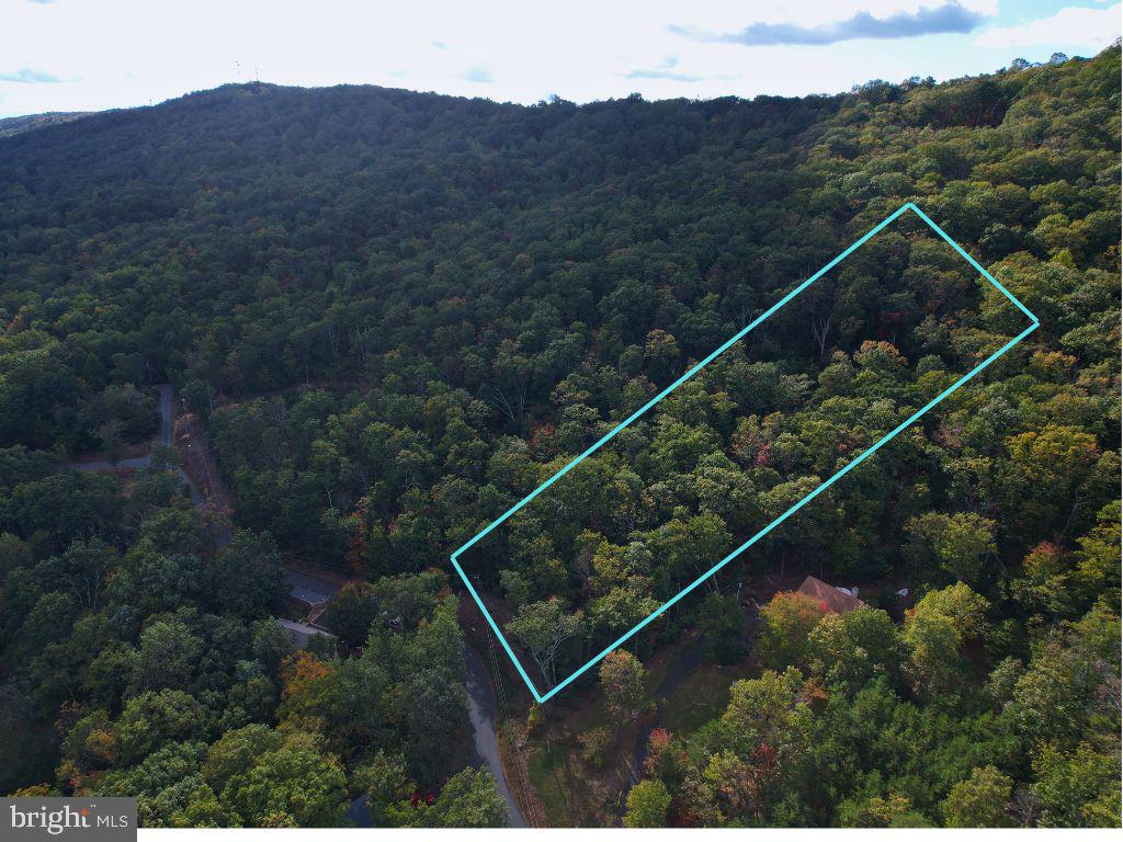 1700 MERCER RD, HAYMARKET, Virginia 20169, ,Land,For sale,1700 MERCER RD,VAPW2081810 MLS # VAPW2081810