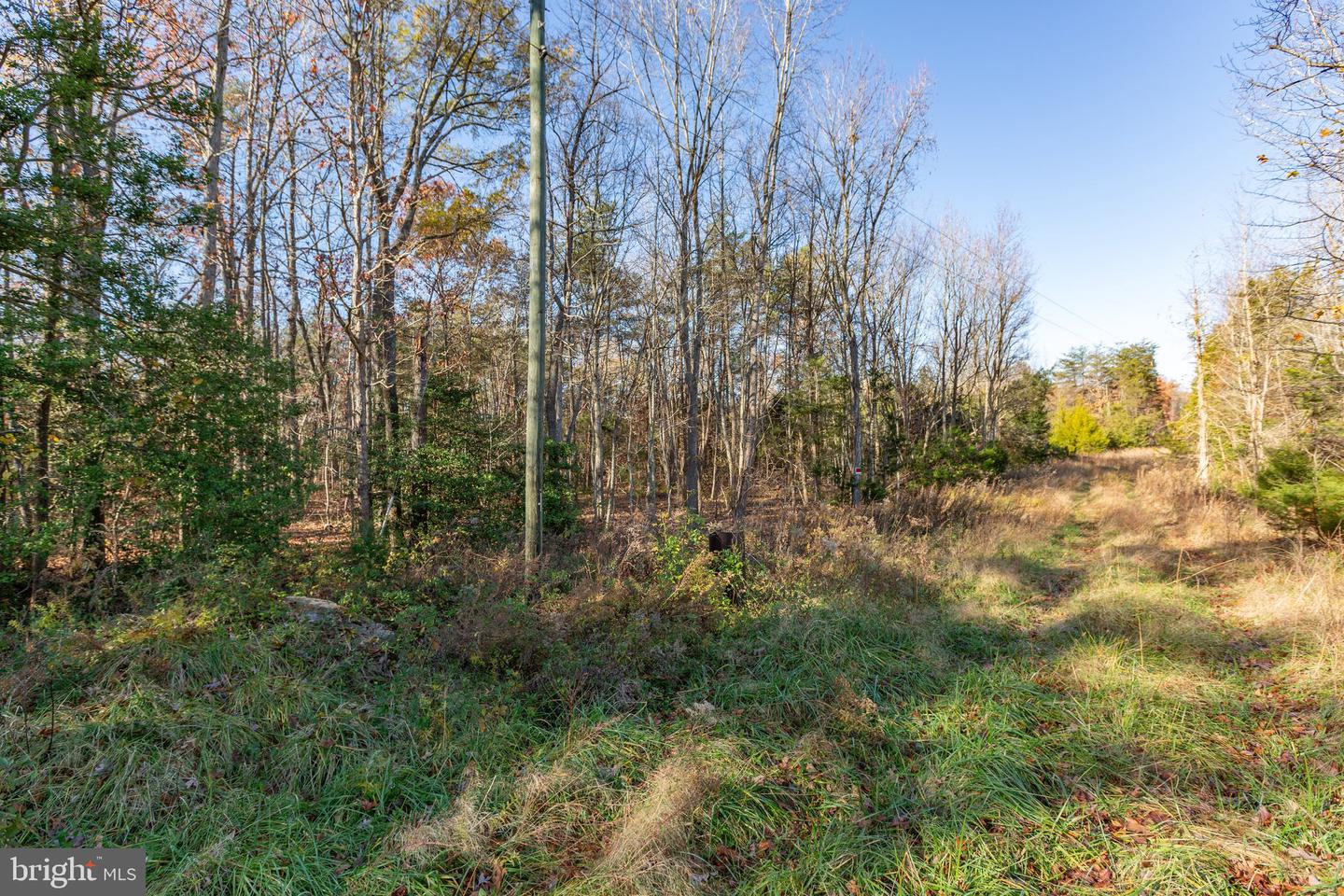 4800 GUINEA STATION RD, FREDERICKSBURG, Virginia 22407, ,Land,For sale,4800 GUINEA STATION RD,VASP2028760 MLS # VASP2028760