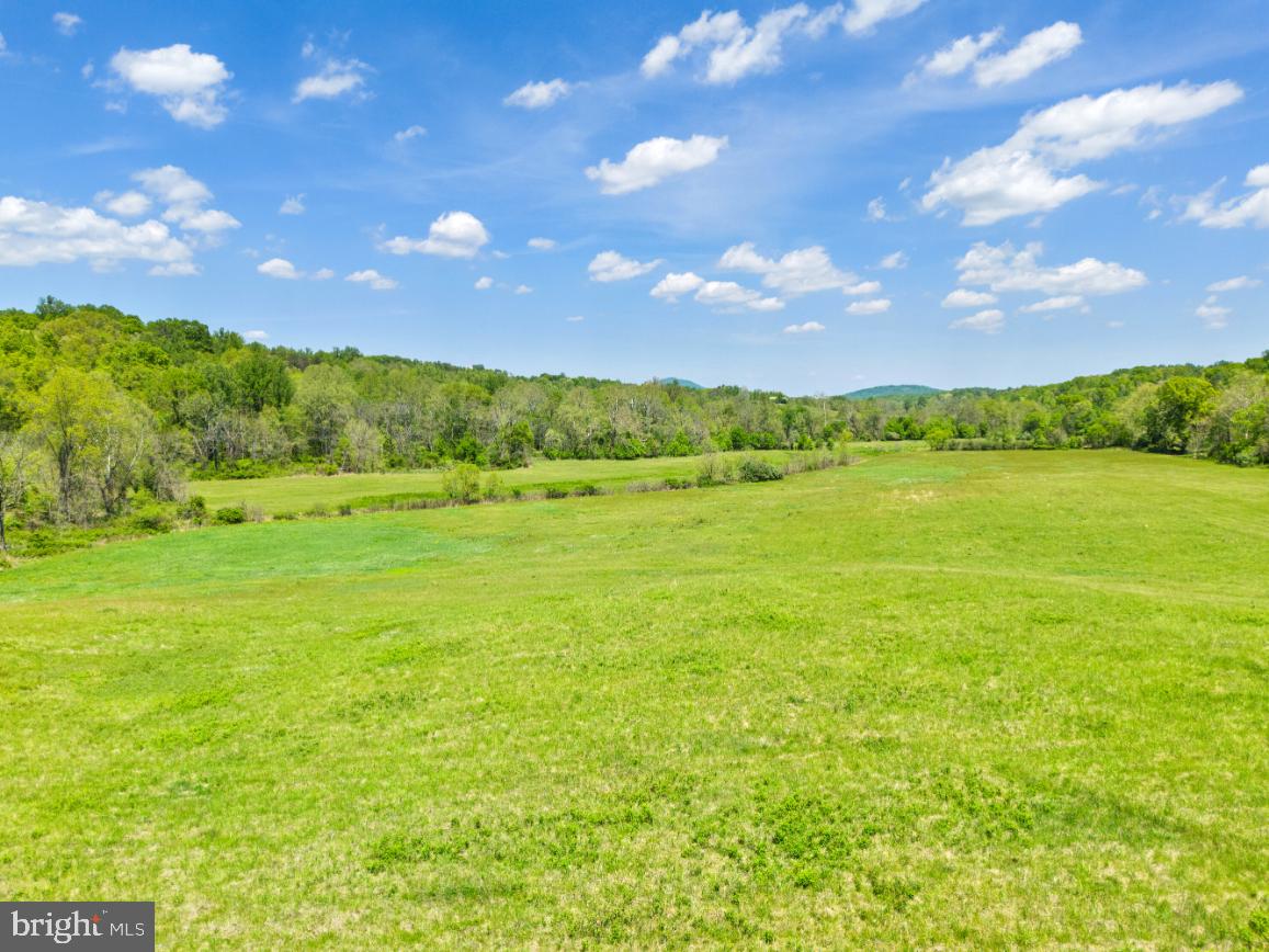 THUMB RUN RD, ORLEAN, Virginia 20128, ,Land,For sale,THUMB RUN RD,VAFQ2014404 MLS # VAFQ2014404