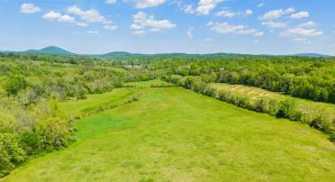 THUMB RUN RD, ORLEAN, Virginia 20128, ,Land,For sale,THUMB RUN RD,VAFQ2014404 MLS # VAFQ2014404